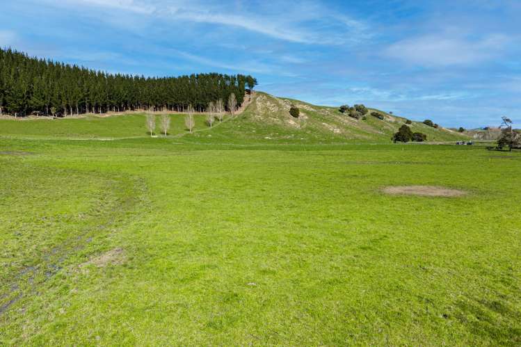 683 Bush Road Wallingford_45