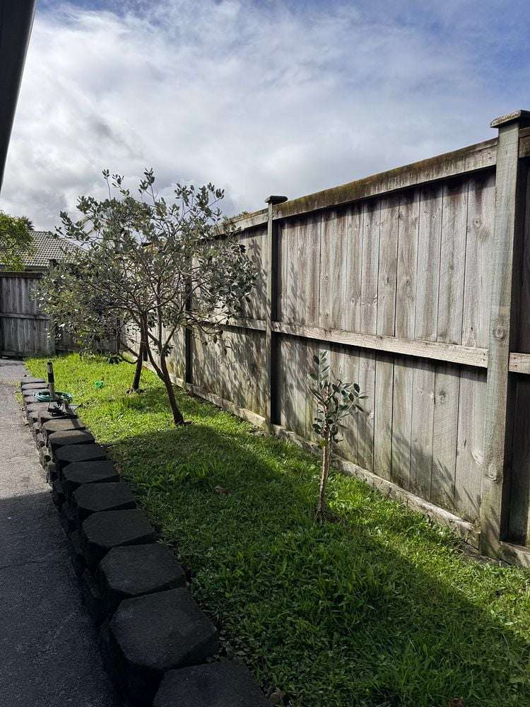 2 Vidiri Court Flat Bush_6