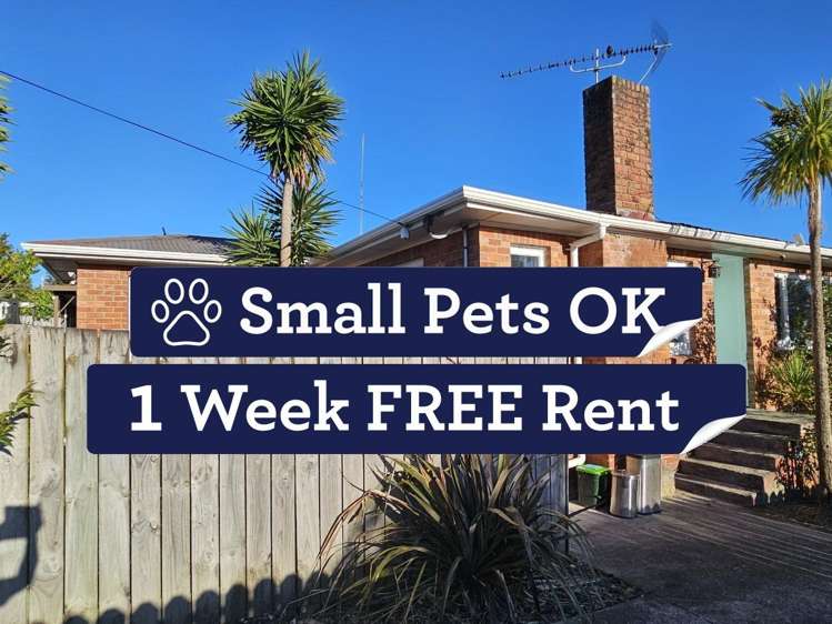 18 Glenorchy Street Glen Eden_0