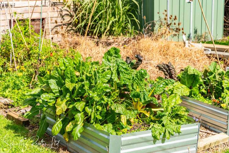 1056 State Highway 12 Maungaturoto_32