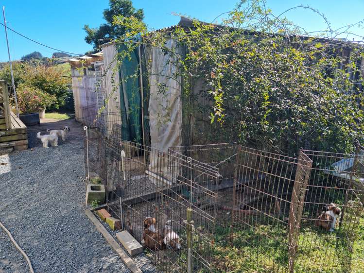 1938 Paparoa Valley Road Paparoa_18