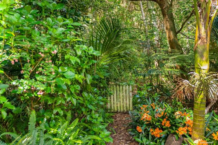 399 Bothwell Park Road Waiuku_18