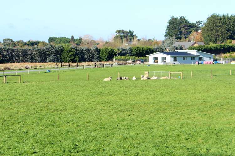 7 Black Road Otatara_5