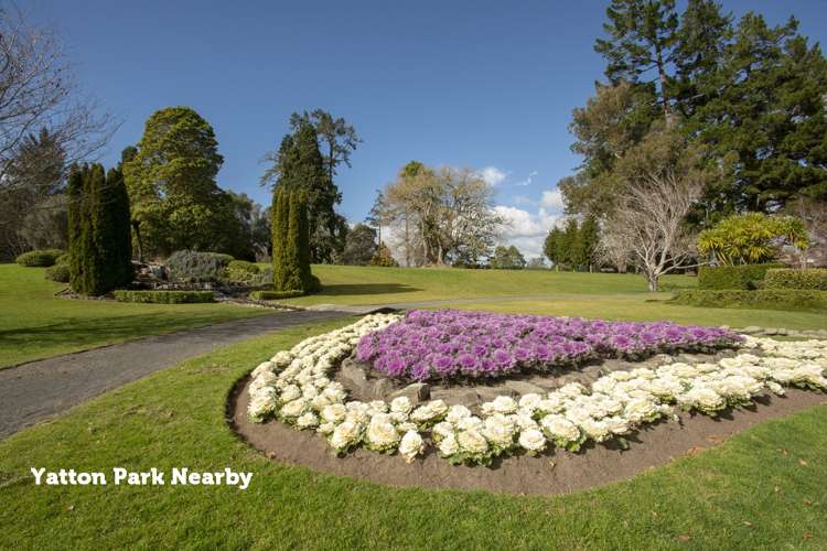 8c Waimapu Street Greerton_16