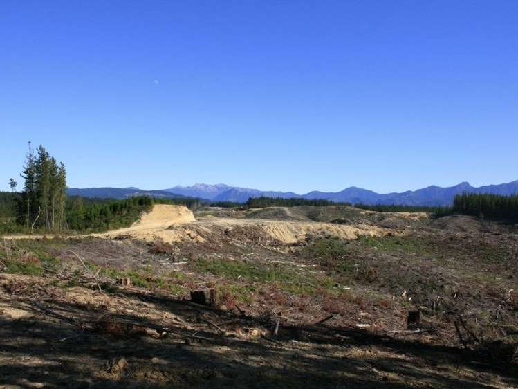 290 Central Road South Upper Moutere_1