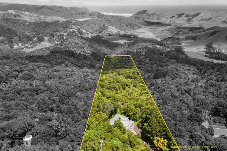 143 Jonkers Road Waitakere_27