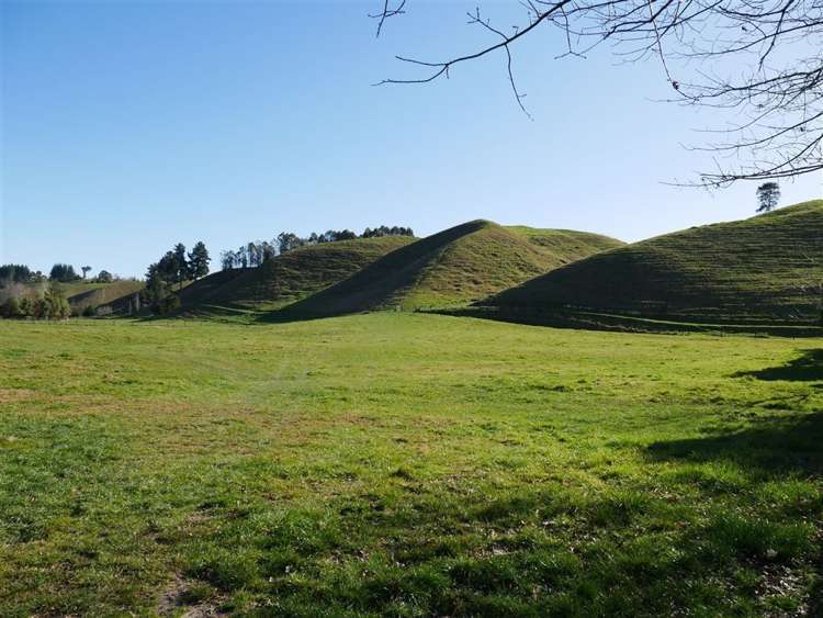 234 Rosedale Road Upper Moutere_31