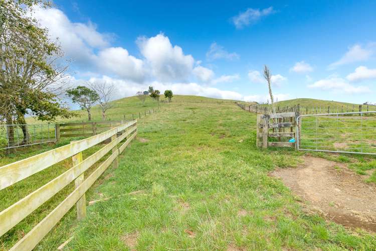 471 Sainsbury Road Pirongia_13