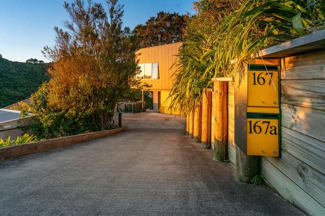 167 Tōtara Road Miramar_2