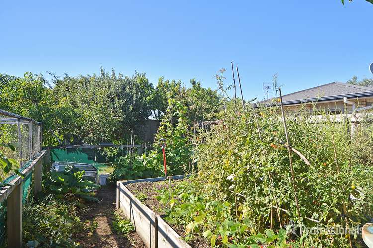 19 Rhodes Street Carterton_10