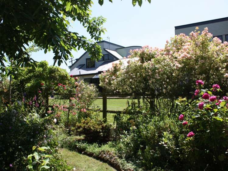 217 Pleasant Point Highway Levels_13