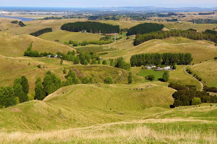 754 Puketitiri Road Puketapu_5