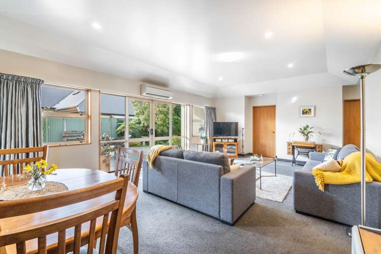 310 Herbert Street Windsor_5