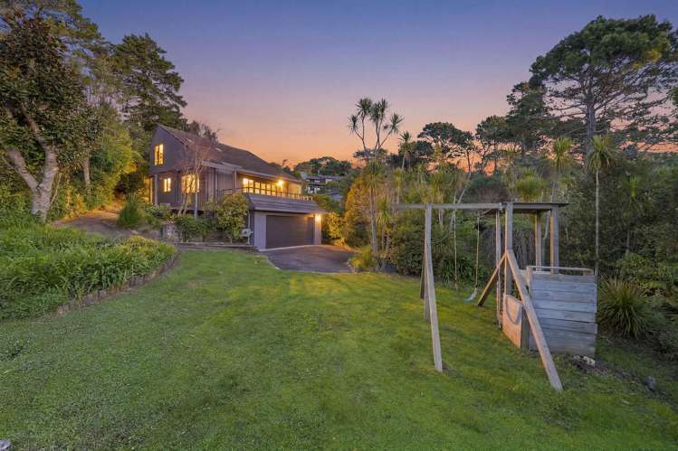 6 Tree Fern Trail_0