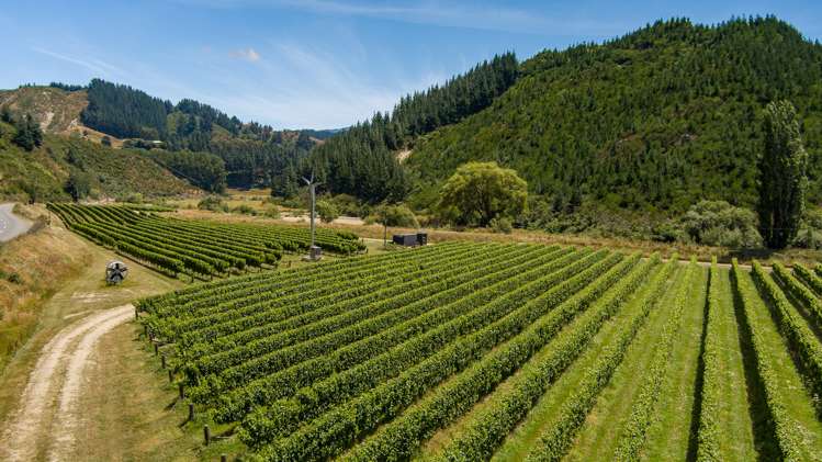 Northbank Road Kaituna_12