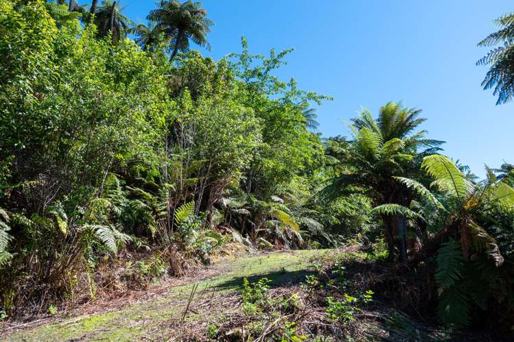 442 Spencer Road Lake Tarawera_22