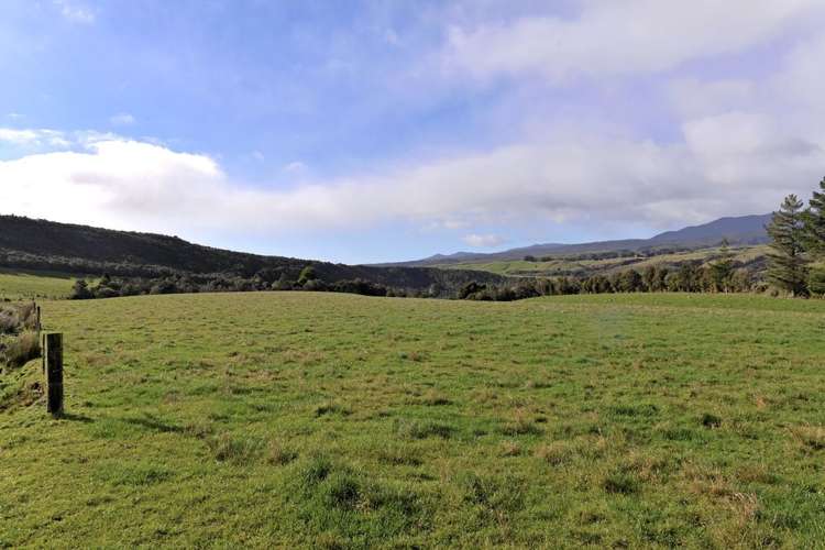 915 Aorere Valley Road Kahurangi National Park_7