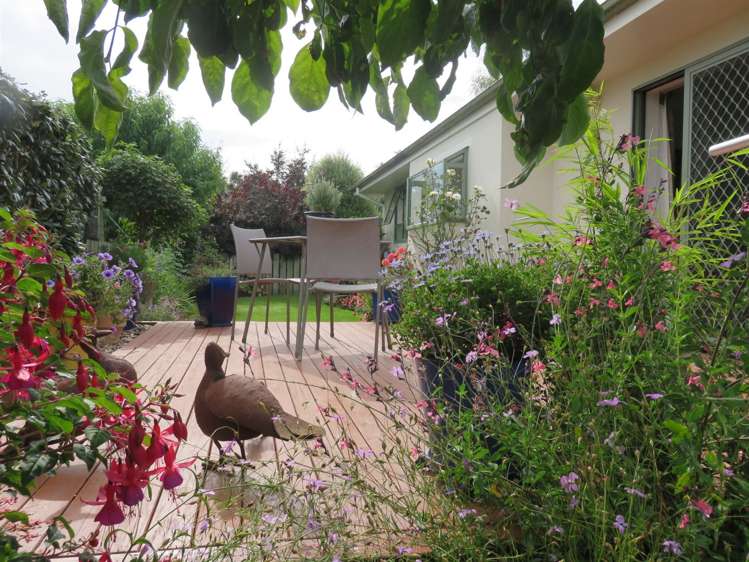 35a Mckenzie Street Geraldine_1