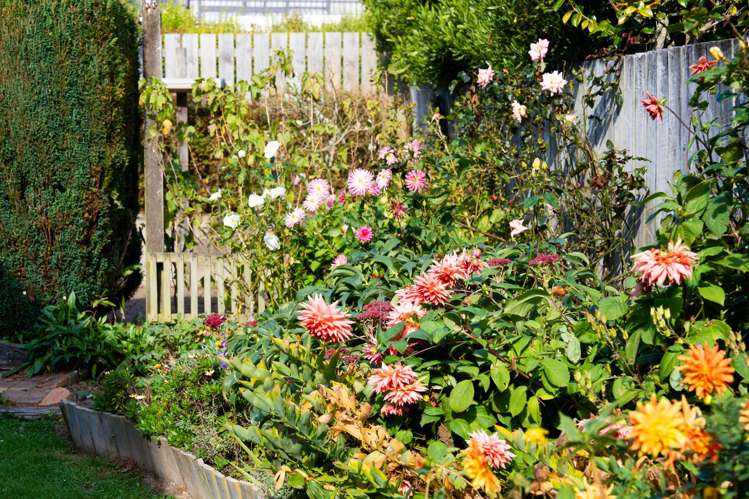 216 Larnach Road Waverley_30