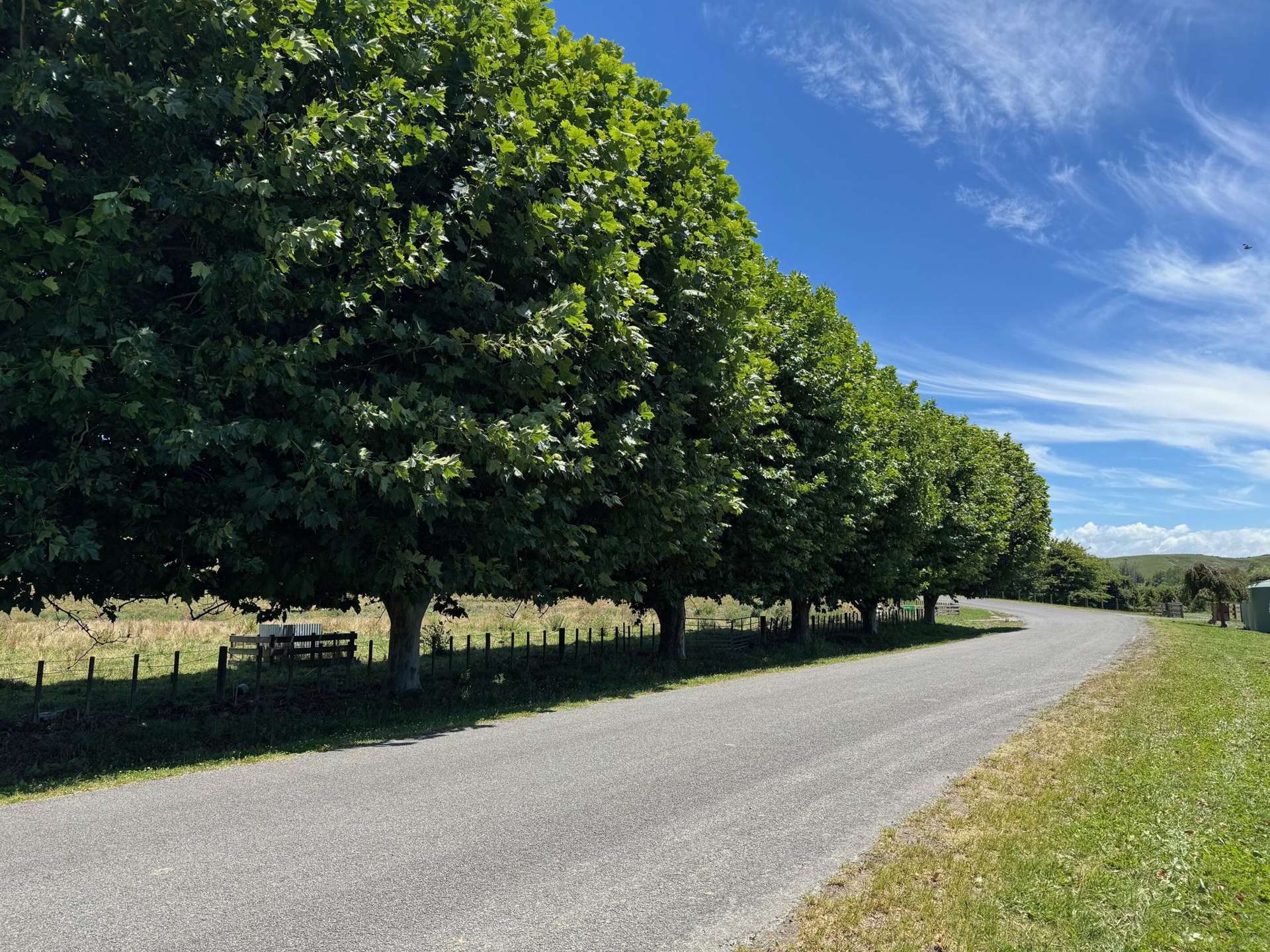 165 Breckenridge Road Puketapu_0