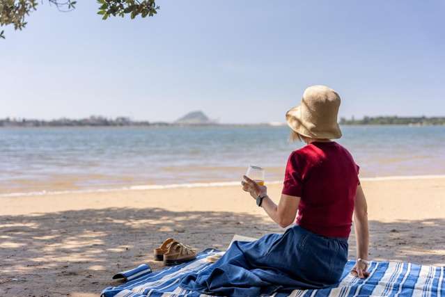 9a Mersea Place Maungatapu_2