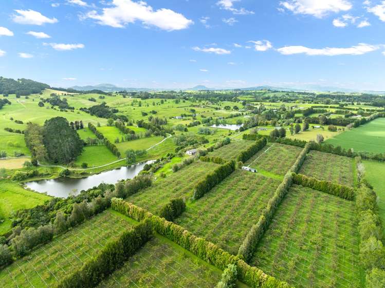 100E Hodge Road Ruatangata West_16