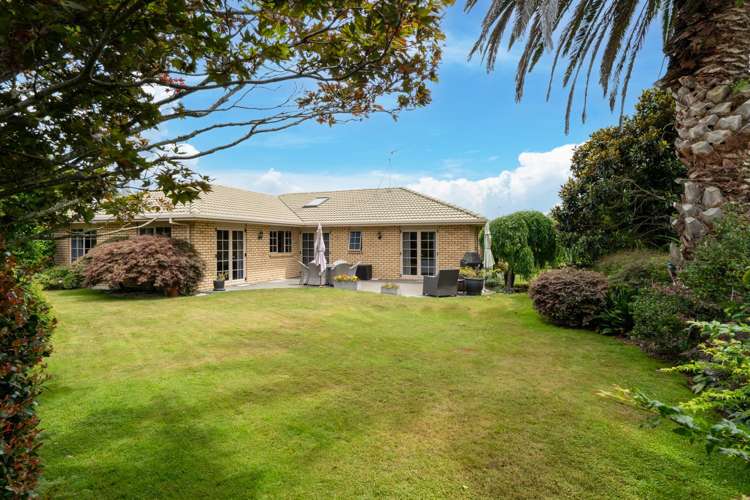 14 Alba Place Cambridge_19