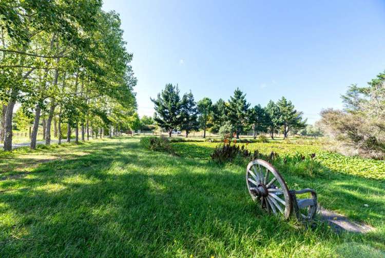 212 Pine Valley Road Dairy Flat_7