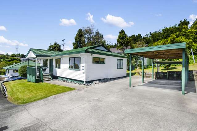 8a Locke Avenue Mount Roskill_2