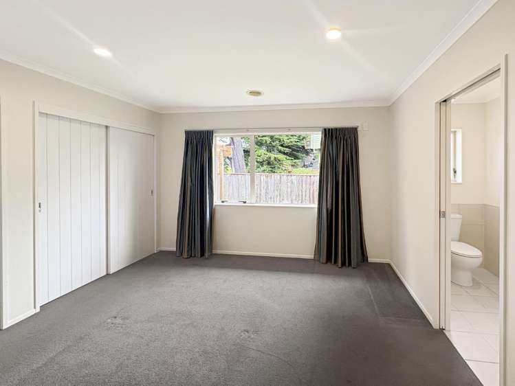 29 Nikau Street 1230_12