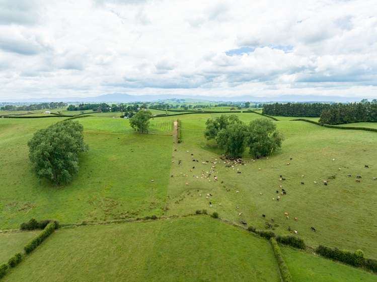 83 Waikuku Road Morrinsville_13