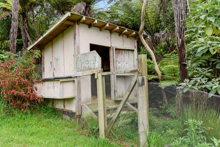 7 Chatham Avenue Paremoremo_18