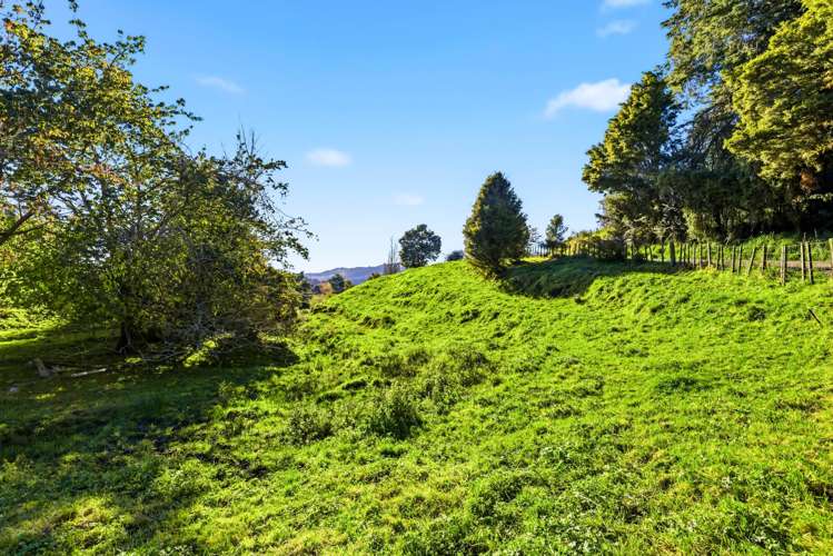 5 Hapa Road, Kakahi Owhango_18