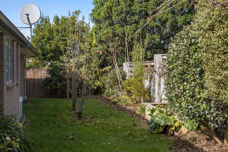 21 Hoggard Place Katikati_12