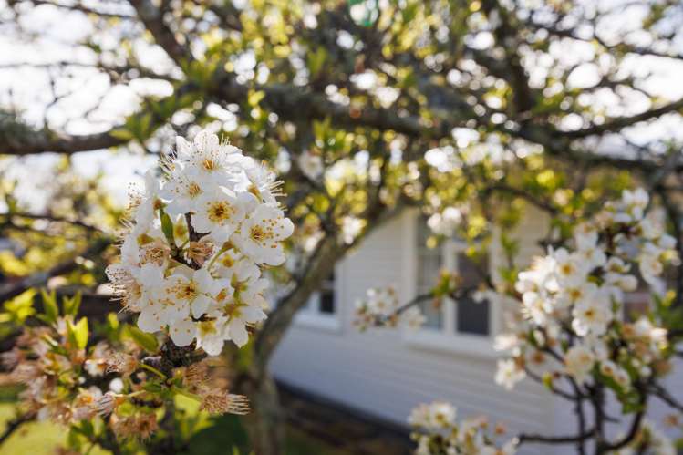 2 Harford Street Feilding_12