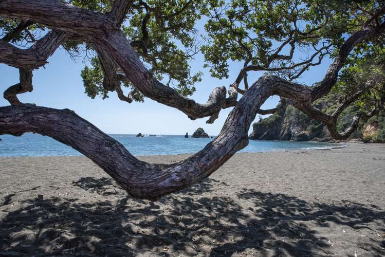 1192 Rawhiti Road Russell Surrounds_18