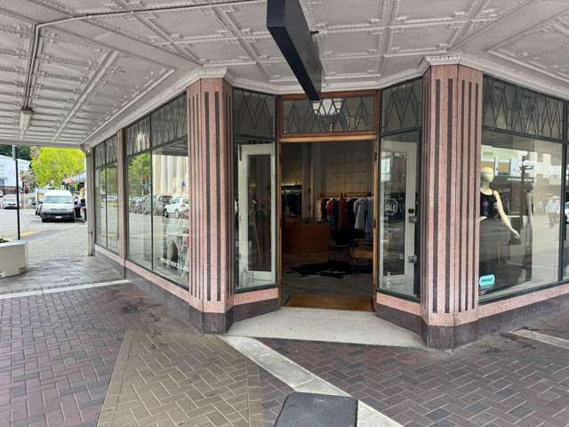 172 Emerson Street Napier South_2