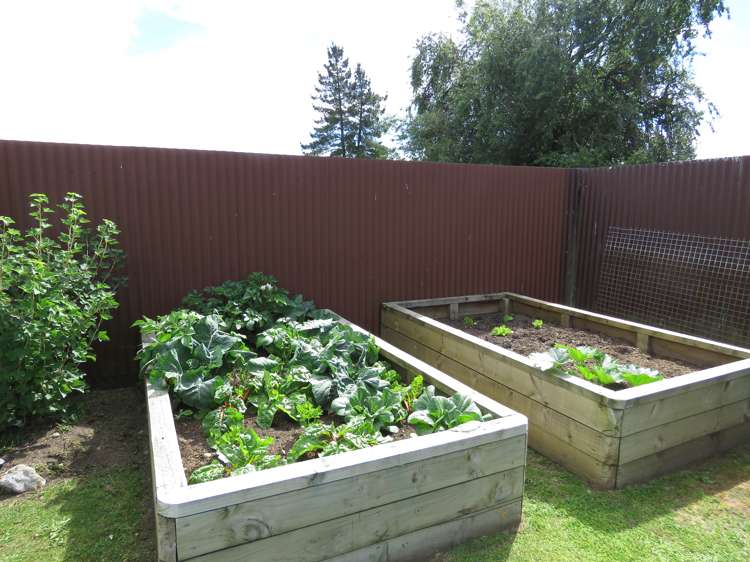 88 Buller Road Reefton_20