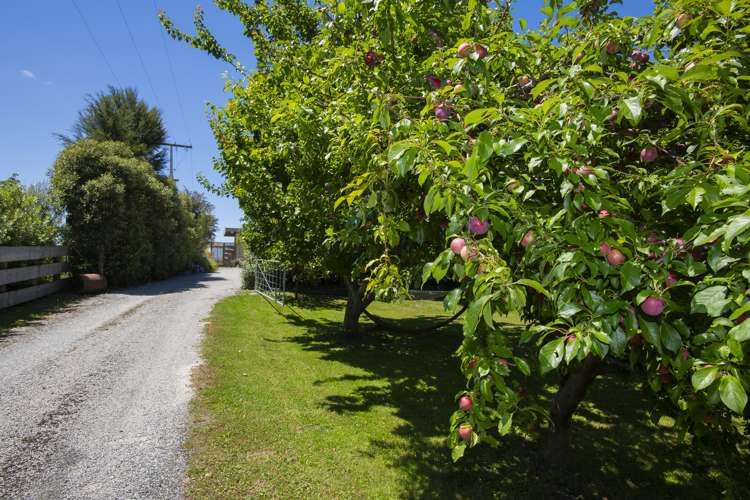 209 Lake Road Waituhi_17