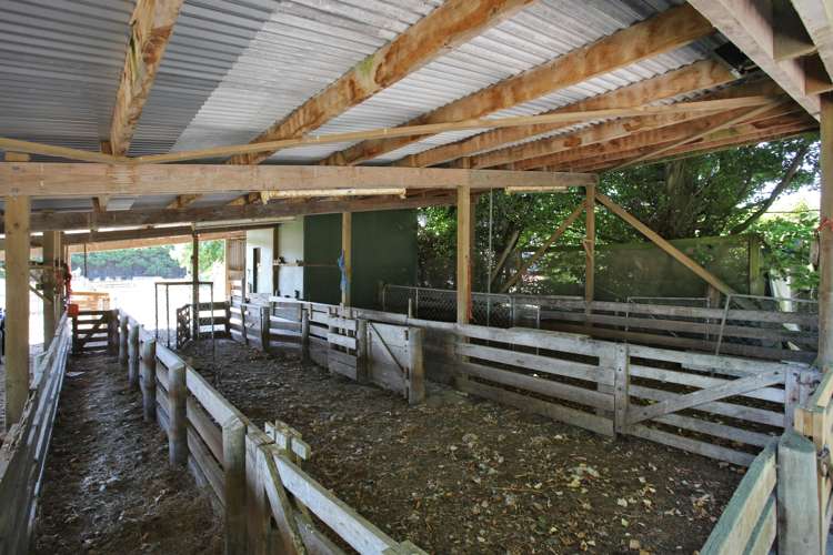 264r Findlay Road Ascot_22