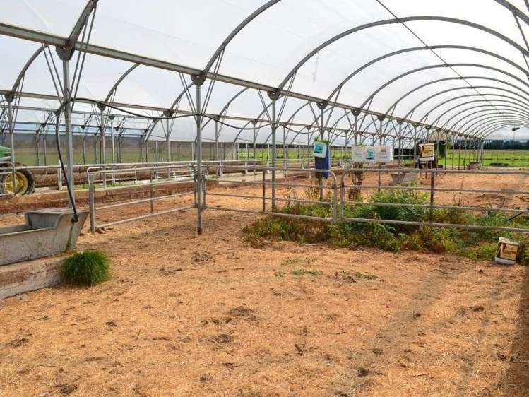 233a Papawai Road Greytown_20