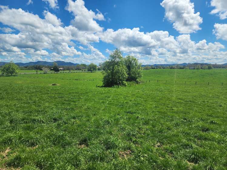 1664a Gordonton Road Taupiri_19