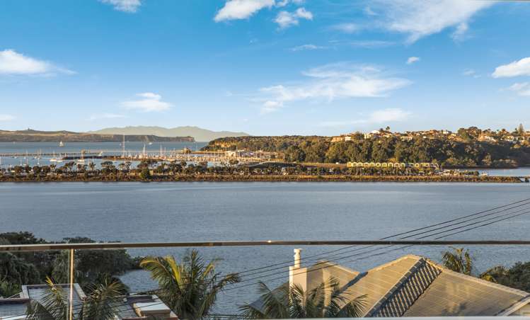 20 Tohunga Crescent Parnell_12