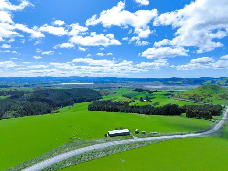 Waihola Hill Road_0