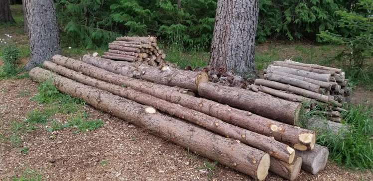 12 Railway Street Fairlie_20