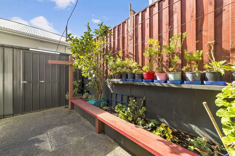 53 Rintoul Street Newtown_13