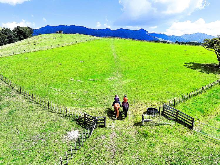 1524 Kirikopuni Valley Road Whangarei_16