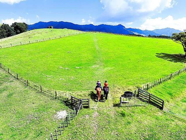 Home, Land & Income Potential - 30ha - Ready to Go