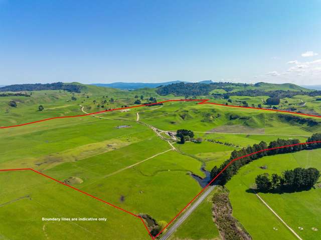 Tirohanga dairy farm treasure