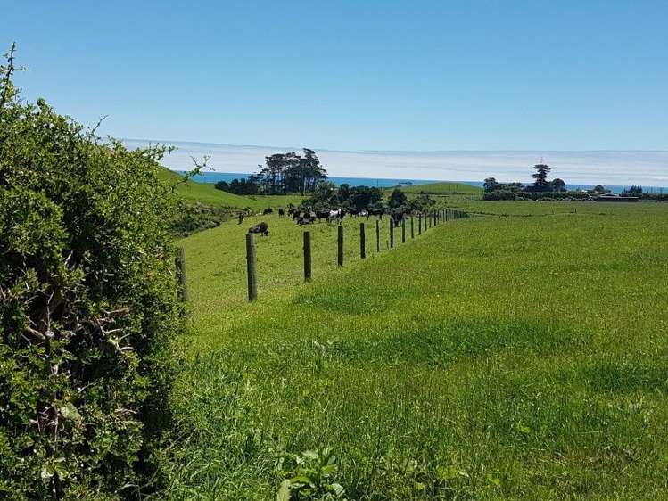 80 Koru Road Omata_23